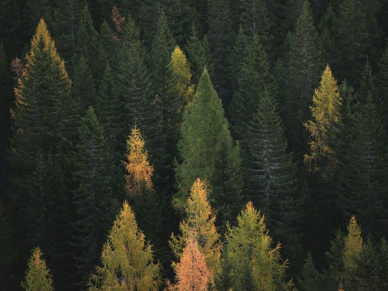Autumn travel