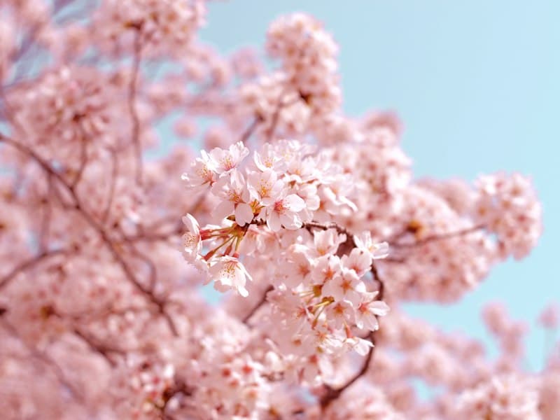 Spring travel